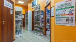 Ветеринарный центр лечения и реабилитации животных Алвита изображение 6